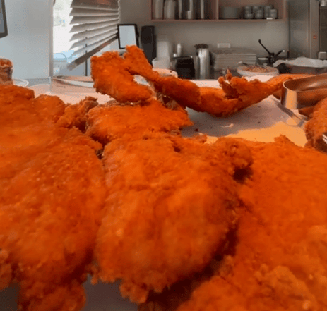 שניצל של טנא