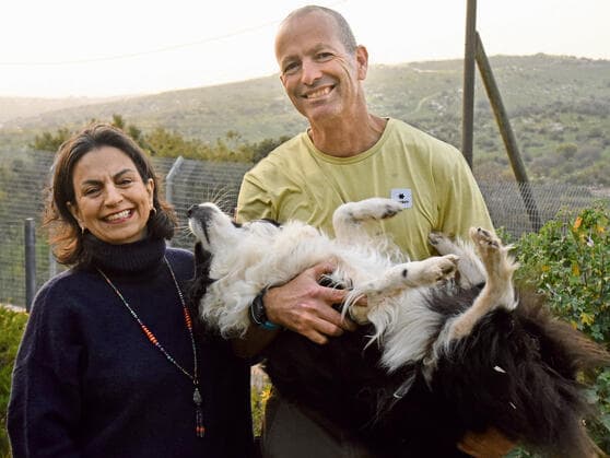 תומר ומיכל  בסקינד