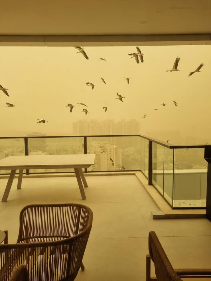 אובך בבת ים וראשון לציון