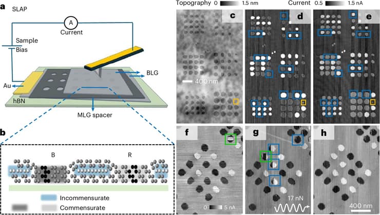 הסבר על המחקר