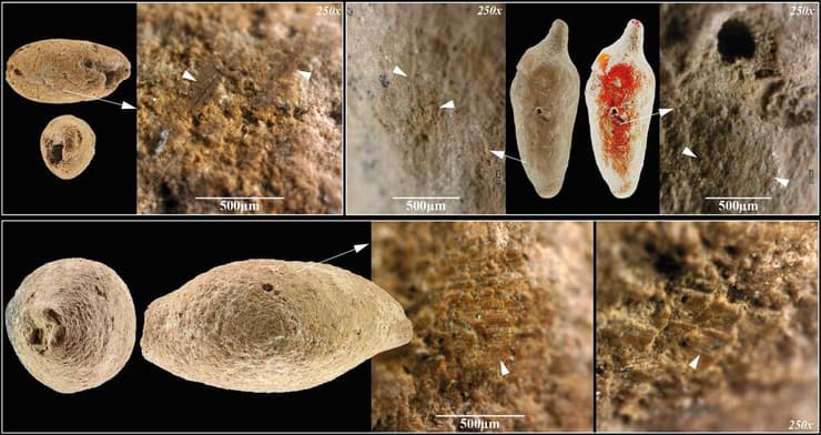 חרוזי חימר מהתקופה הנאטופית המאוחרת, שנמצאו בגליל וצבועים באדום
