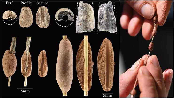 שחזור טכניקות לעיצוב חרוזי חימר מהתקופה הנאטופית המאוחרת