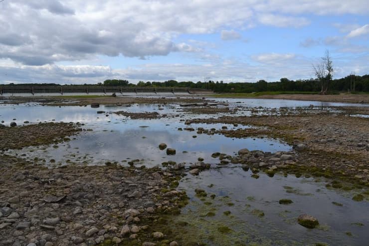 התייבשות נהר המיסיסיפי