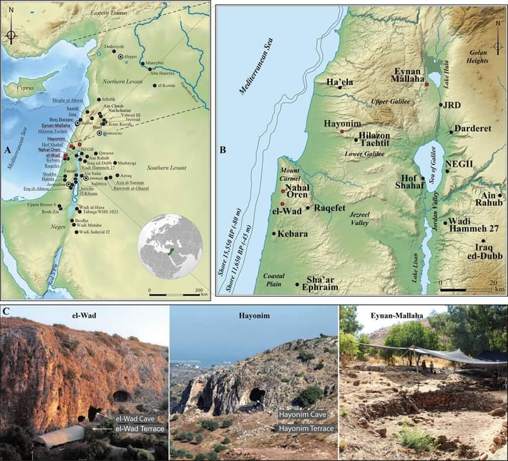 מפה של הלבנט המראה את ארבעת אזורי החפירות מהתקופה הנאטופית המאוחרת, צבועים באדום