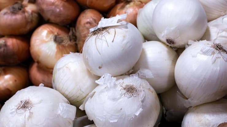 הגיוון חשוב. בצלים לבנים וצהובים (צילום: Jade Prevost Manuel, shutterstock) בצלים לבנים וצהובים