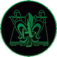 סמל יחידה 504