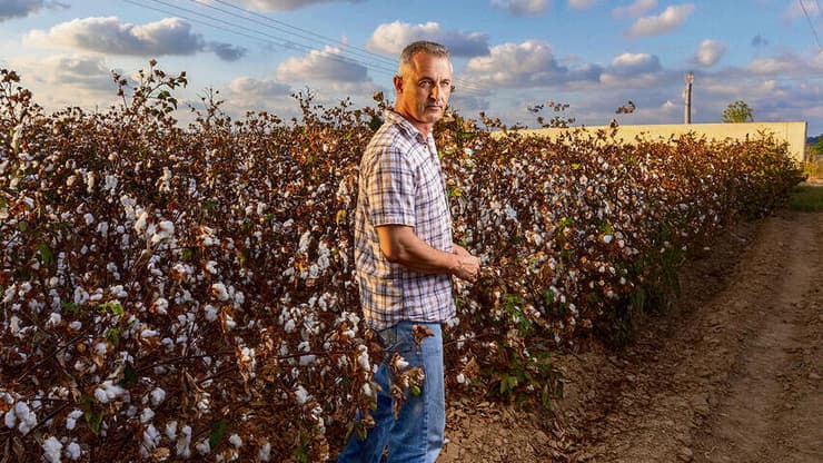 אשכול נבו | צילום: אביגיל עוזי