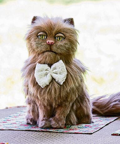 צילום: חורחה נובומינסקי