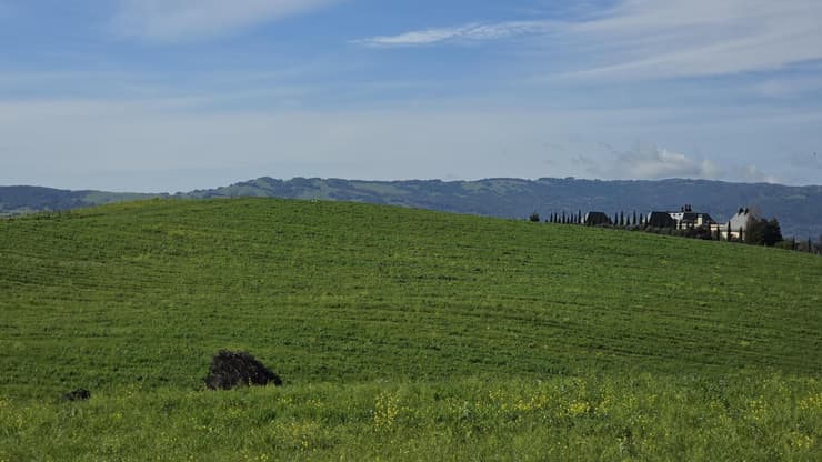 צילום עם הגלקסי S26 אולטרה