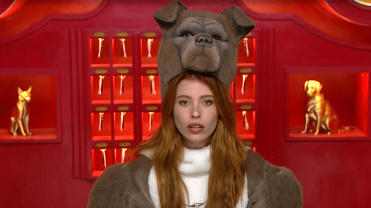 מתוך "האח הגדול"