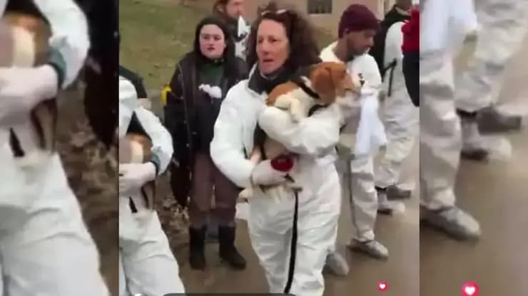 פעילה למען זכויות בעלי  חיים נושאת בזרועותיה את אחד מכלבי הביגל שנלקחו מחוות רידגלן