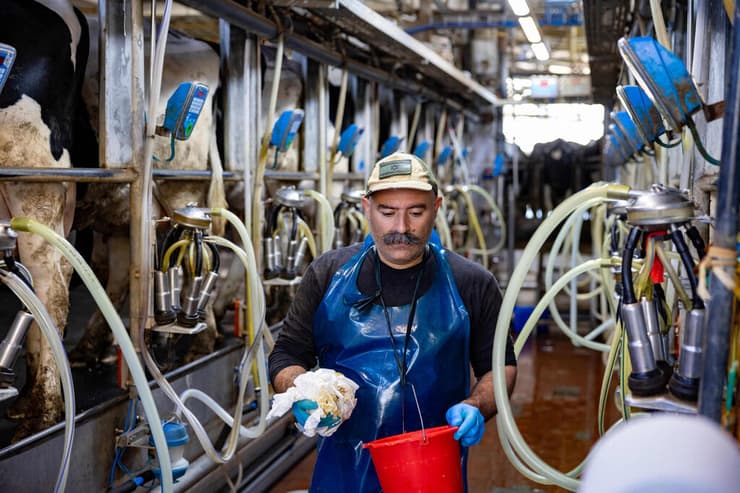 משק קורלנדר בבית הלל
