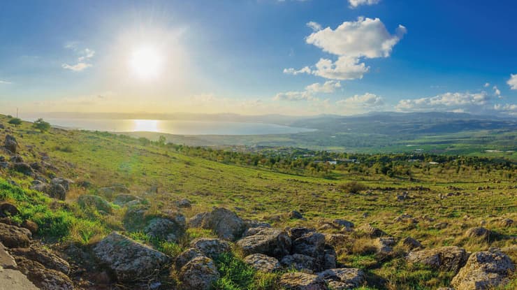 "השוק פועל מתוך