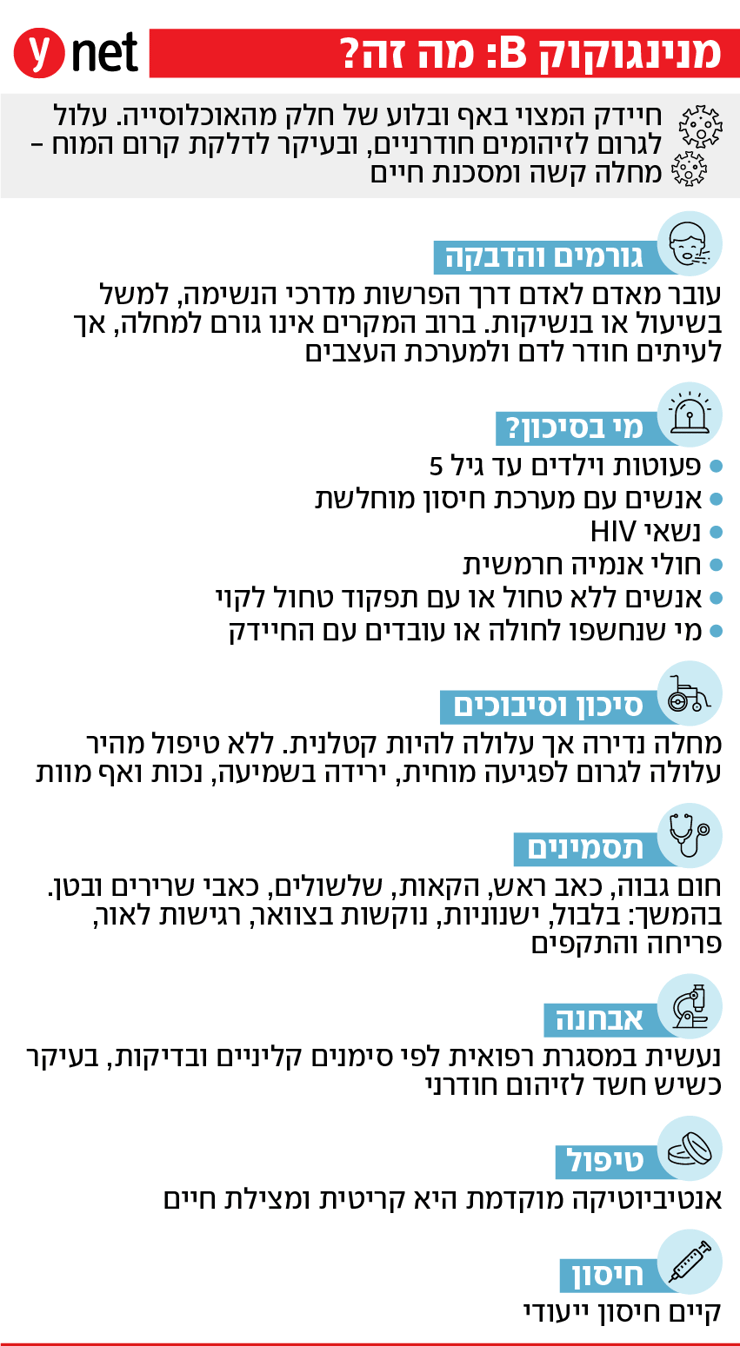 אינפו מנינגוקוק B 