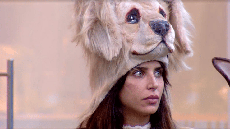 מתוך "האח הגדול"