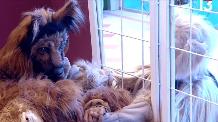 מתוך "האח הגדול"