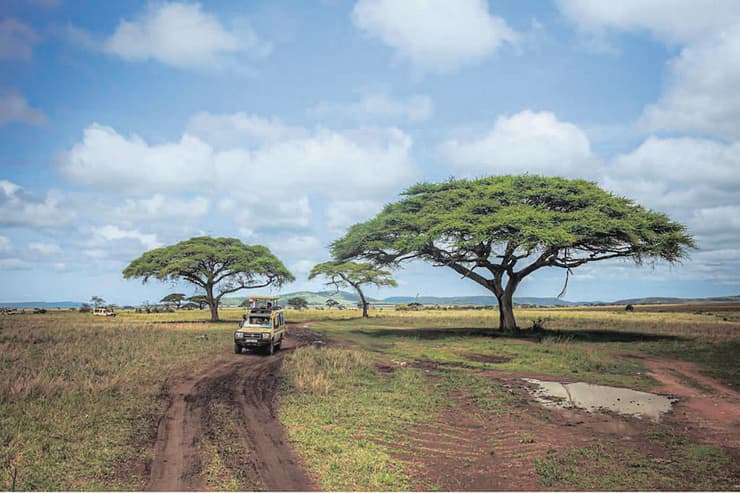 טריגרים בכל מקום. גם בטיול ג'יפים