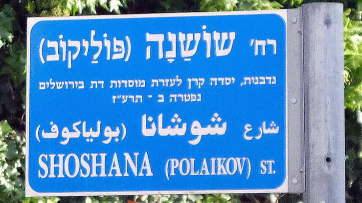 שושנה (פוליקוב) - השלט הישן
