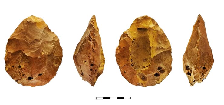 אבן יד שעוצבה סביב הטבעה של מאובן מבקעת סכנין