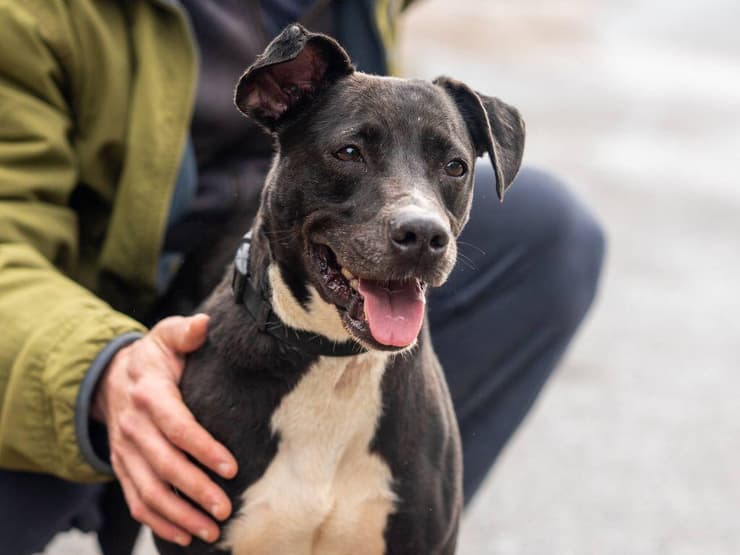 ברוריה (צילום: גילי מאן) ברוריה