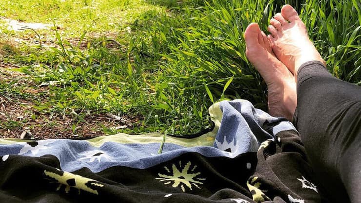 פיקניק בחורשת הירח