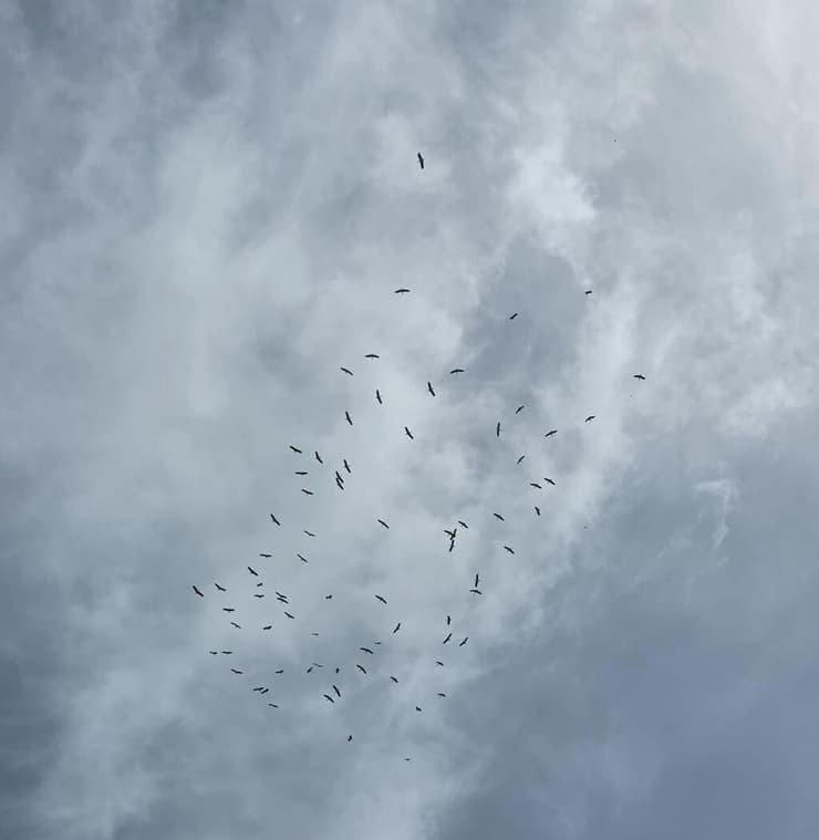 להקת חסידות מעל קיסריה