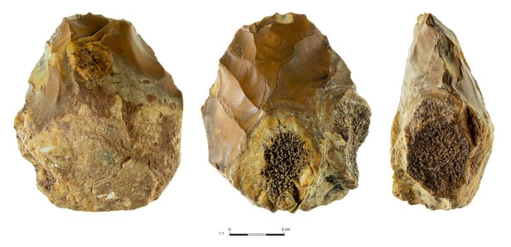 אבן יד משולבת בתפוח אליהו