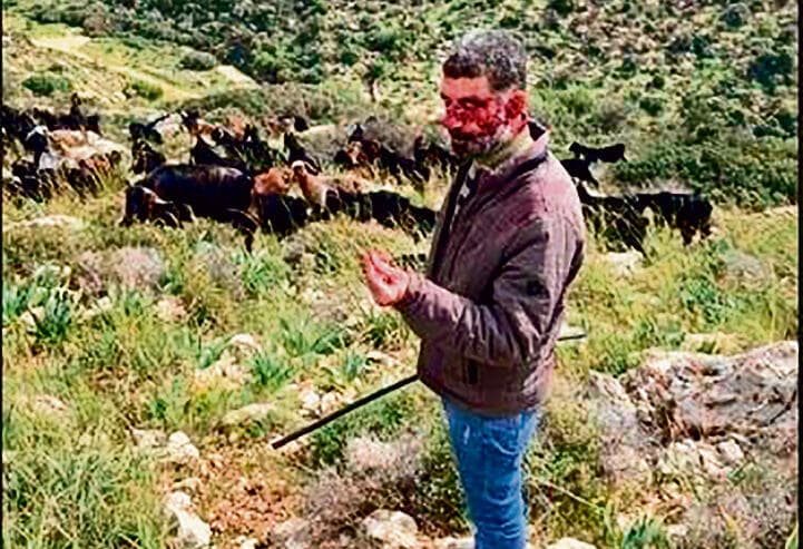 רועה צאן שהותקף. התבהמות וגזענות