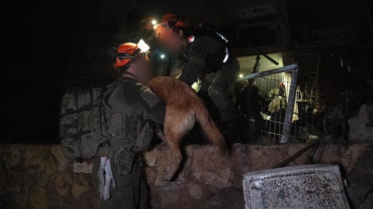 חילוץ הכלב מהזירה (צילום: דובר צה"ל) פינוי פצועים בדימונה