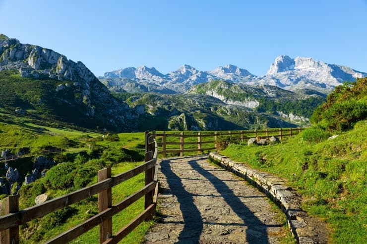 פיקוס דה אירופה, ספרד (צילום: BearFotos / shutterstock) פיקוס דה אירופה, ספרד