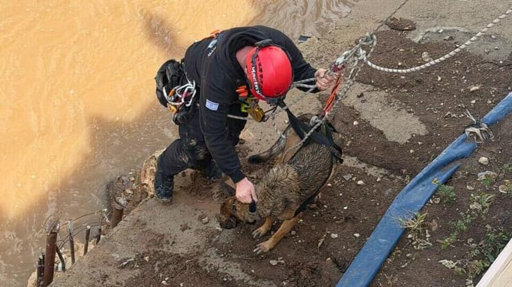 לוחם אש מחלץ את הכלב