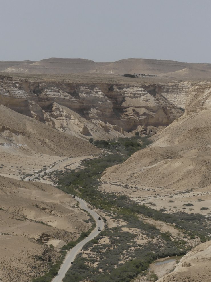 רכבים נוסעים לגן לאומי עין עבדת. השפעת הרעש מכבישים בסביבה המדברית הפתוחה נמשכת באין מפריע למרחקים עצומים. במחקר כימתו עד כמה גדול טווח ההשפעה של נפחי תנועה גדולים על בעלי חיים בסביבה פתוחה ומעוטת צומח לעומת בתי גידול סבוכים ועתירי צומח (צילום: יעל לנרד) רכבים נוסעים לגן לאומי עין עבדת. השפעת הרעש מכבישים בסביבה המדברית הפתוחה נמשכת באין מפריע למרחקים עצומים. במחקר כימתו עד כמה גדול טווח ההשפעה של נפחי תנועה גדולים על בעלי חיים בסביבה פתוחה ומעוטת צומח לעומת בתי גידול סבוכים ועתירי צומח