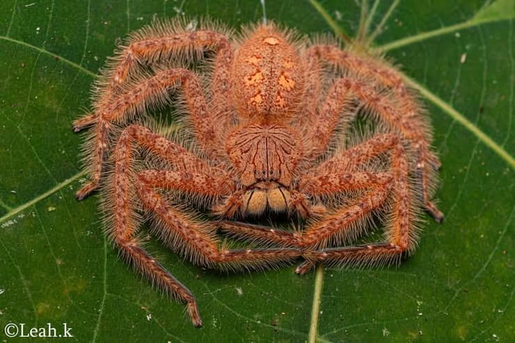 בהוקרה לאמנים שפרצו גבולות, והופכים את החיים שלנו לצבעוניים מענינים ושמחים