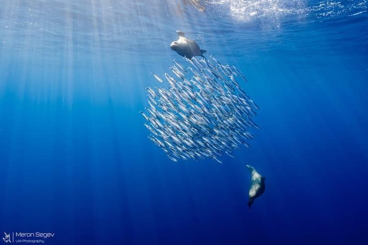 בהוקרה לערך הקהילתיות שתומכת, עוזרת ומגדילה את החוסן