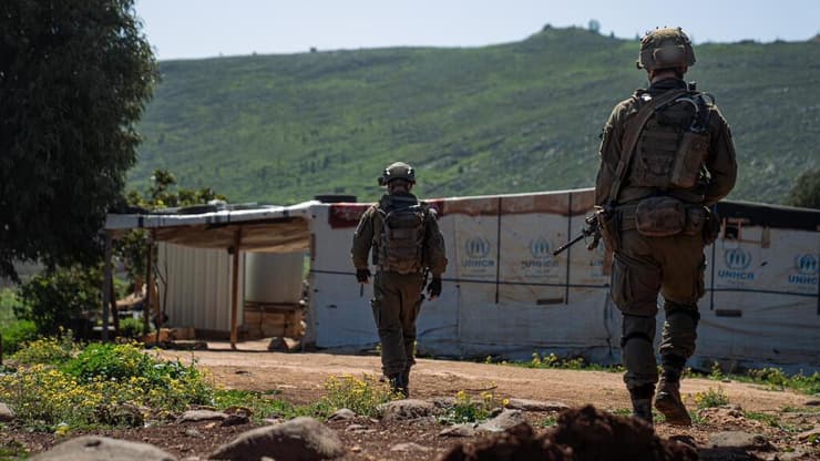 פעילות הכוחות