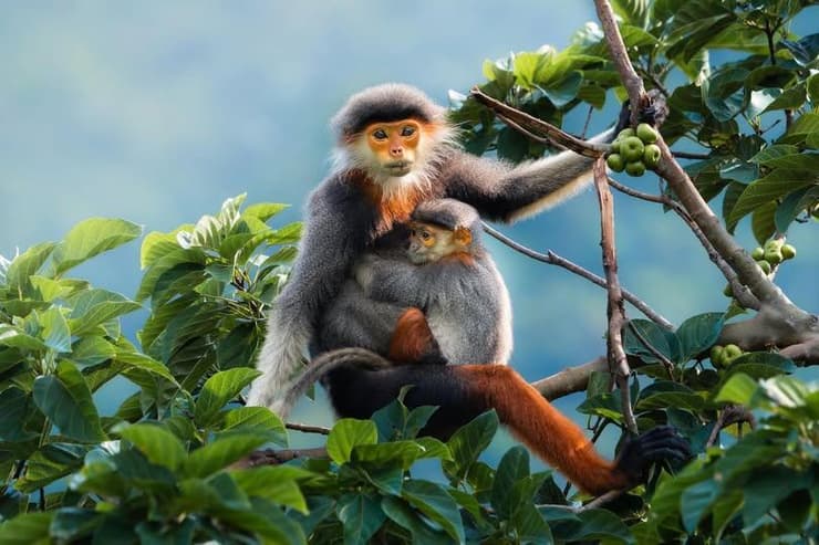 בהוקרה לעם שלנו שמחבק אחד את השני