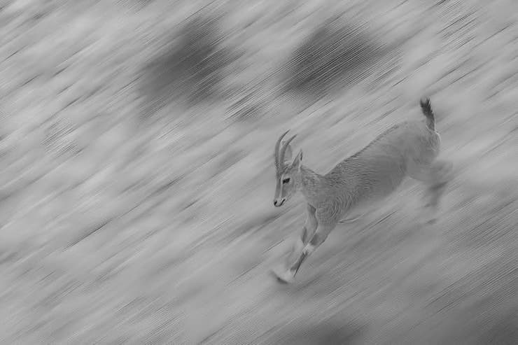 בהוקרה לצוות פיקוד העורף שמספק לנו התראות שמאפשרות לנו להגיע בזמן למרחב המוגן