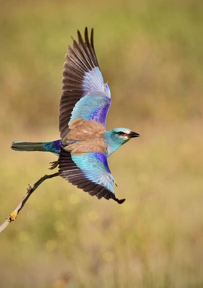 בהוקרה לצוות הרפואי שהציל את חייו של לוחם 