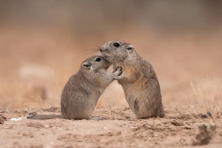 בהוקרה לאימהות שתמיד נותנות חיבוק ומנחמות
