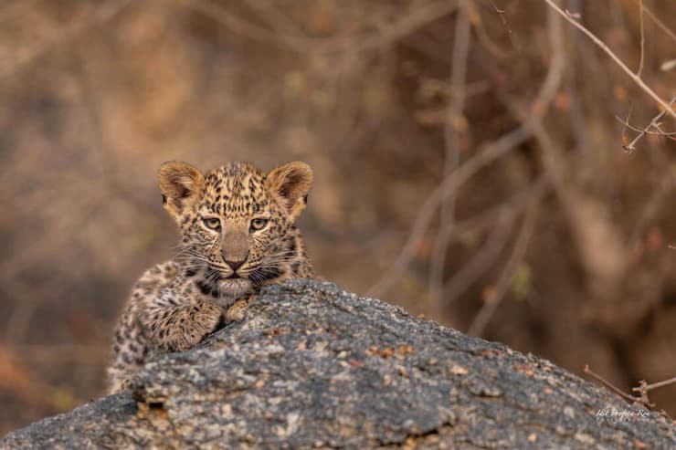 בהוקרה לכל הילדים המיוחדים ולמשפחותיהם
