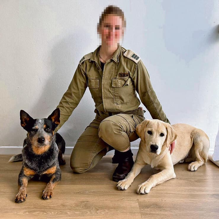 סרן (במיל‘) נוי