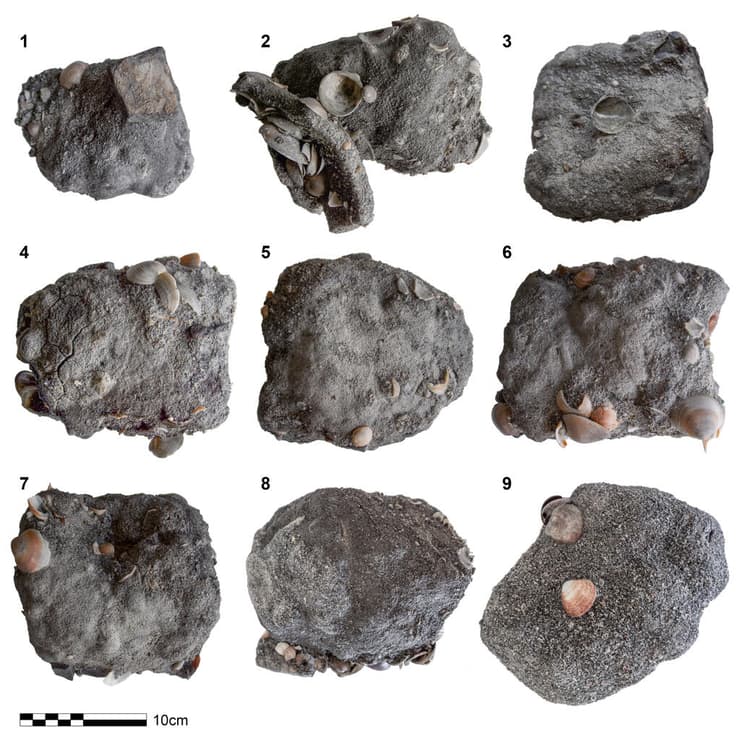 גושי ברזל שהתגלו בחוף דור