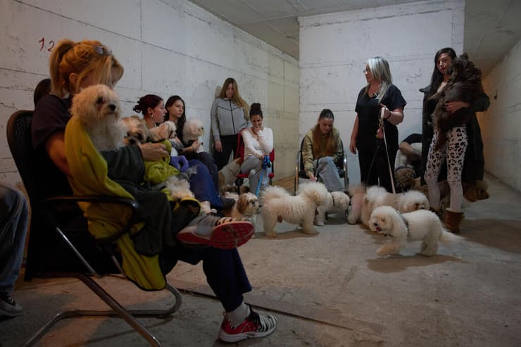 עובדות במספרת כלבים מתגוננות במקלט בזמן אזעקה ברמת גן (צילום: AP Photo/Oded Balilt) רמת גן