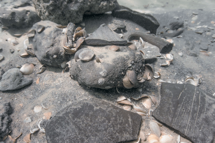 כמה מהגושים בחוף דור