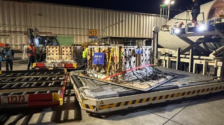 הארגזים ובהם האריות  