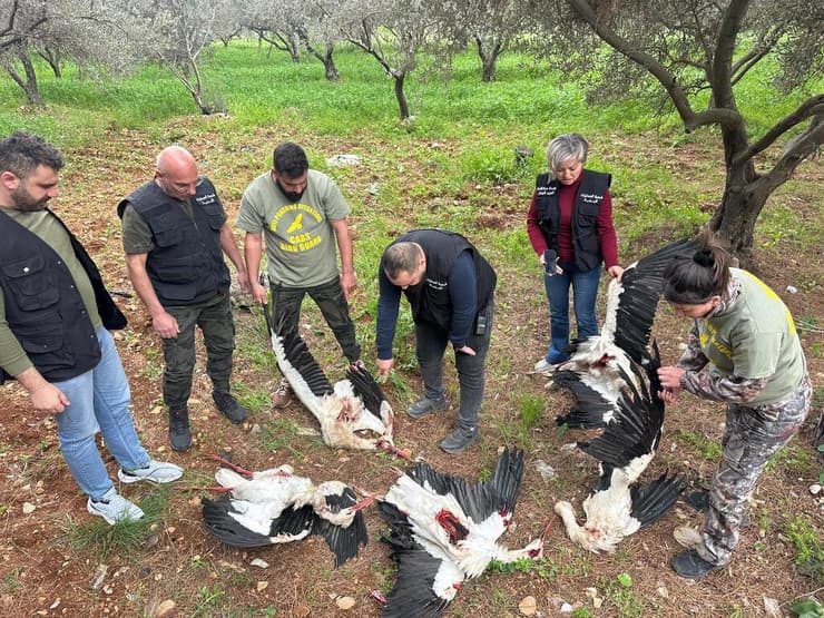 חסידות שנורו למוות עם מתנדבי הארגון שפועל למענן