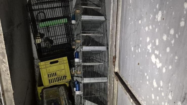 המקלט בג'דידה מכר