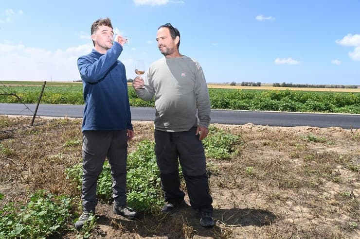 "סבא היה בהלם אם היה רואה את כל זה". גל וסיון בבציר ב"יקב פאוקר" (צילום: הרצל יוסף) גל וסיון, נכדיו של גדעון פאוקר ז"ל, בבציר ב יקב ניר עוז