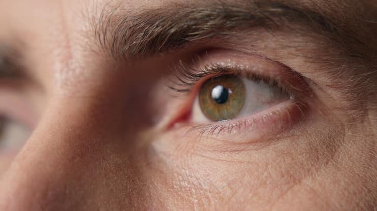  ראייה עין מבט