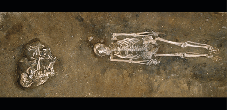 אחד הכלבים שנדגמו במחקר מאתר סקייטהולם בשבדיה, קבור לצד אדם